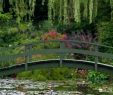 Claude Monet Garten Best Of Monet Bridge Over Water Lilies Picture