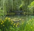 Claude Monet Garten Inspirierend Claude Monet S Gardens at Giverny Our Plete Guide
