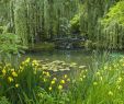 Claude Monet Garten Inspirierend Claude Monet S Gardens at Giverny Our Plete Guide