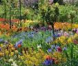 Claude Monet Garten Neu 65 Fresh Beautiful Spring Garden Landscaping for Front Yard