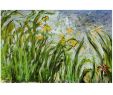 Claude Monet Garten Neu Claude Monet Campo Di Fiori Gialli Obraz Na ZeÄ Reprodukce Na Posters