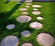 Deavita Gartengestaltung Frisch Chemin De Jardin En Pas Japonais –10 Idées D Aménagement