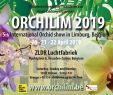 Dresden Botanischer Garten Inspirierend Past events