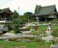 Düsseldorf Japanischer Garten Einzigartig Japanese Munity Of Düsseldorf