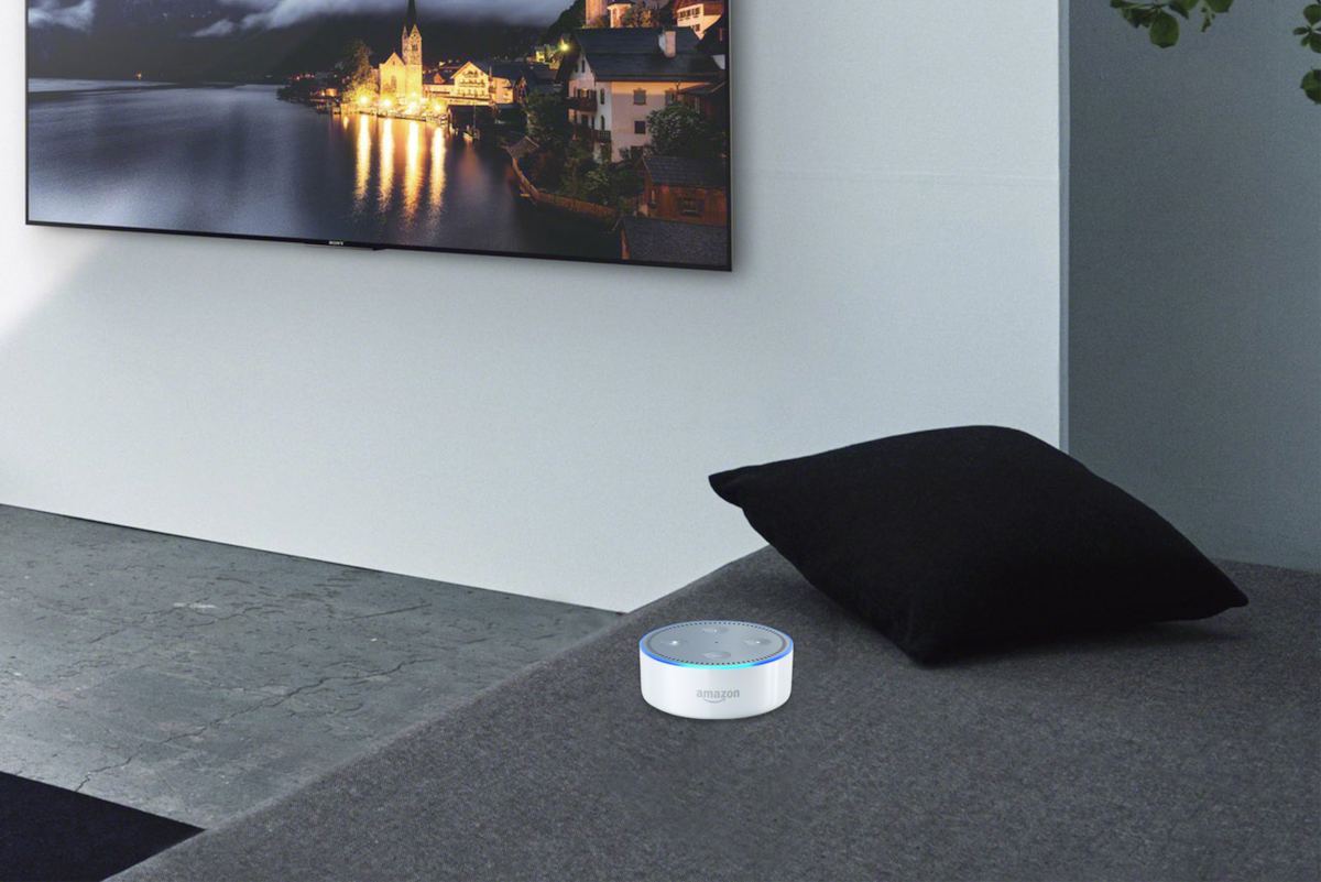 Düsseldorf Japanischer Garten Luxus Smart Home Features Smart Tv Apps Internet Streaming