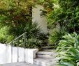 Ein Schweizer Garten Genial 187 Best Levels In the Garden Hoogteverschillen Images In