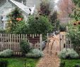 Ein Schweizer Garten Neu 942 Best Jardin Magonette Images In 2020