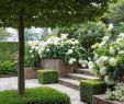 Englische Garten München Elegant 518 Best Beautiful White Gardens Images In 2020