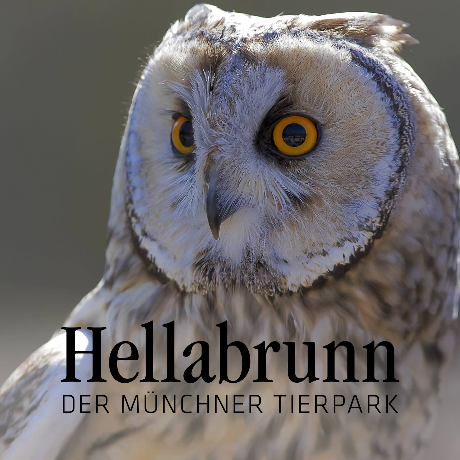 Englische Garten München Neu Tierpark Hellabrunn Munich Zoo Hellabrunn