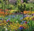Englischer Garten Anlegen Frisch 65 Fresh Beautiful Spring Garden Landscaping for Front Yard