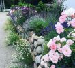 Englischer Garten Anlegen Frisch Bild Könnte Enthalten Pflanze Blume Baum Im Freien Und