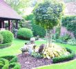 Englischer Garten Anlegen Neu 34 Elegant Sichtschutz Kleiner Garten Inspirierend