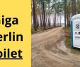 Englischer Garten Berlin Best Of Tesla Giga Berlin Installs Portable toilets and Catches Lizards