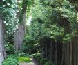 Englischer Garten München Luxus 223 Best topiary Gardens Images