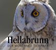 Englischer Garten München Parken Inspirierend Tierpark Hellabrunn Munich Zoo Hellabrunn
