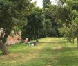 Englischer Garten Parken Best Of Reise Blog Heike An Den Zäunen Von Calais Vorbei Bis Zum