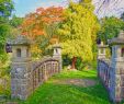 Englischer Garten Parken Elegant Mount Ephraim Gardens Hernhill Aktuelle 2020 Lohnt Es