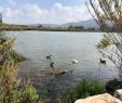 Englischer Garten Surfen Best Of Lake Agias Agia Aktuelle 2020 Lohnt Es Sich Mit Fotos