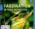 Faszination Garten Best Of Amazon Faszination In High Definition 25 Jahre