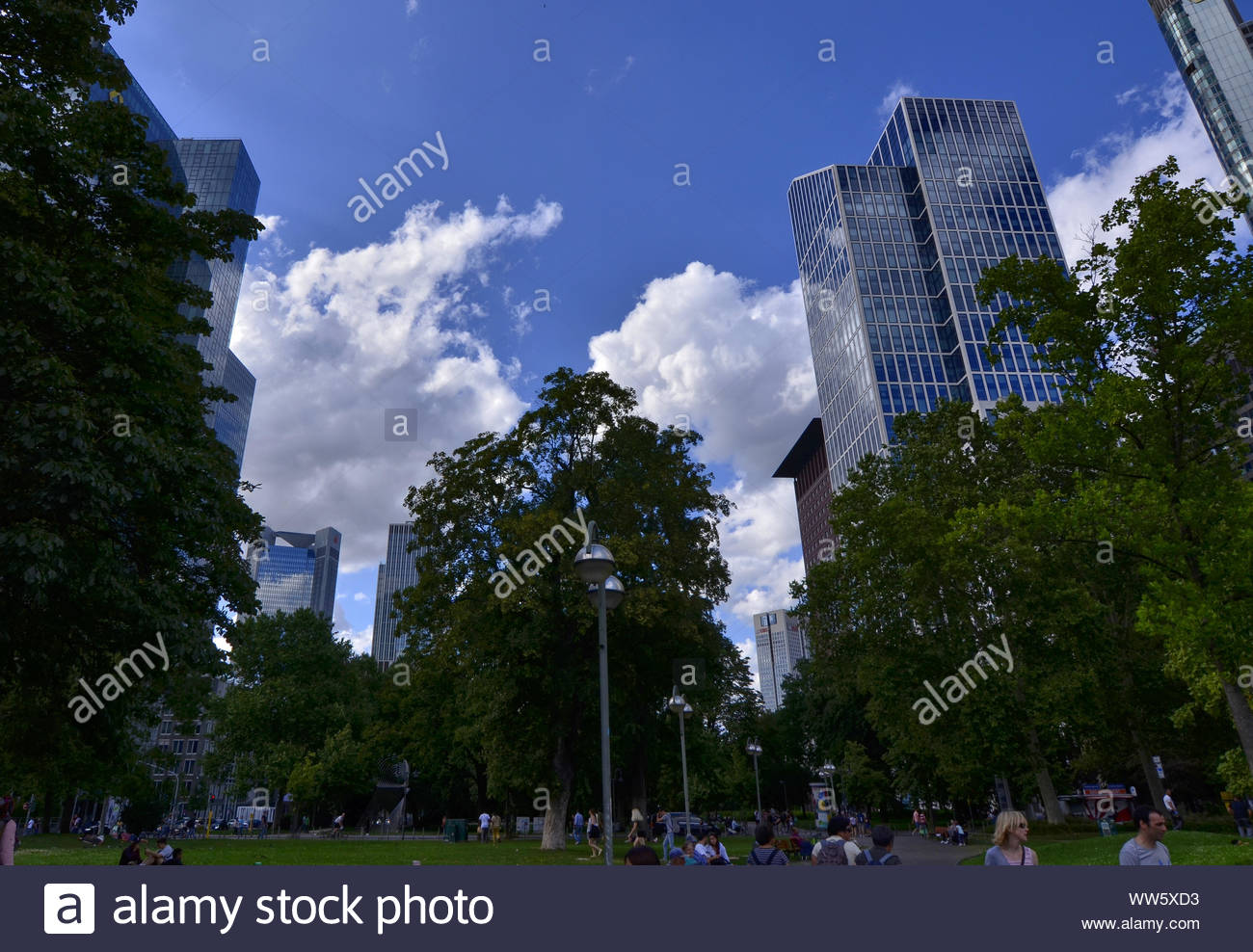frankfurt am main germany august 2019 the financial district is characterized by the greenery surrounding the numerous skyscrapers with mirrored fa WW5XD3