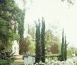 Garten Anlegen Mit Steinen Genial Classic Tuscan Garden
