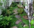 Garten Boden Best Of 42 Stunning Diy Cottage Garden Ideas