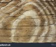Garten Boden Best Of Old Wood Texture Floor Surface Ad Texture Wood Surface