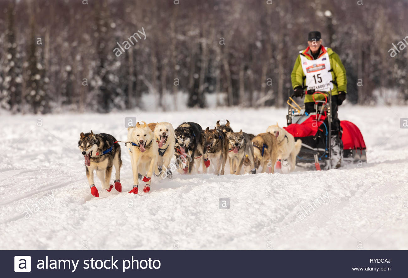 musher linwood fiedler after the restart in willow of the 47th iditarod trail sled dog race in southcentral alaska RYDCAJ
