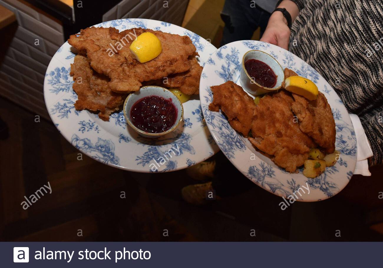 wiener schnitzel in the alpine economy fiedler and fuchs in vostrae 15 in giesing automated translation 2AMM685