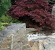 Garten Gestalten Mit Wenig Geld Elegant Landscape Bricks — Procura Home Blog