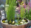 Garten Gestalten Mit Wenig Geld Schön Diy Mini Teich Im topf Und Noch Viele tolle Gartenideen Für