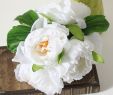 Garten Hochzeit Inspirierend Spezifikation Clipart Flowers 50 S On This Page