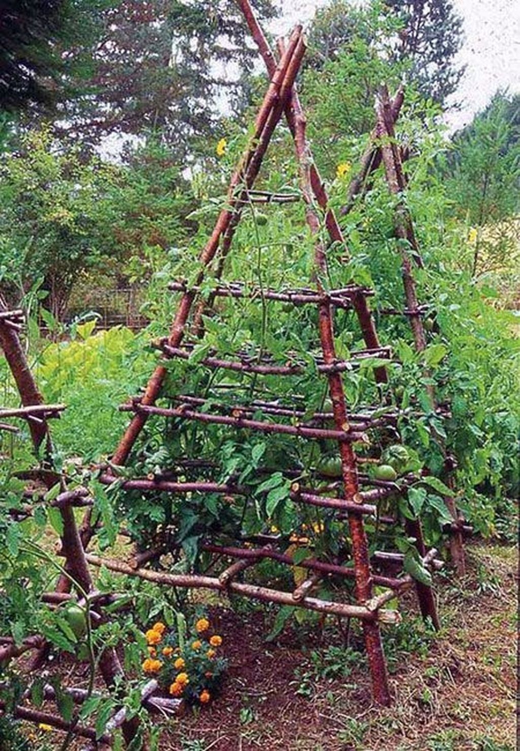 Garten Magazin Genial 30 Inspiring Veggies Garden Layout for Your Outdoor Ideas