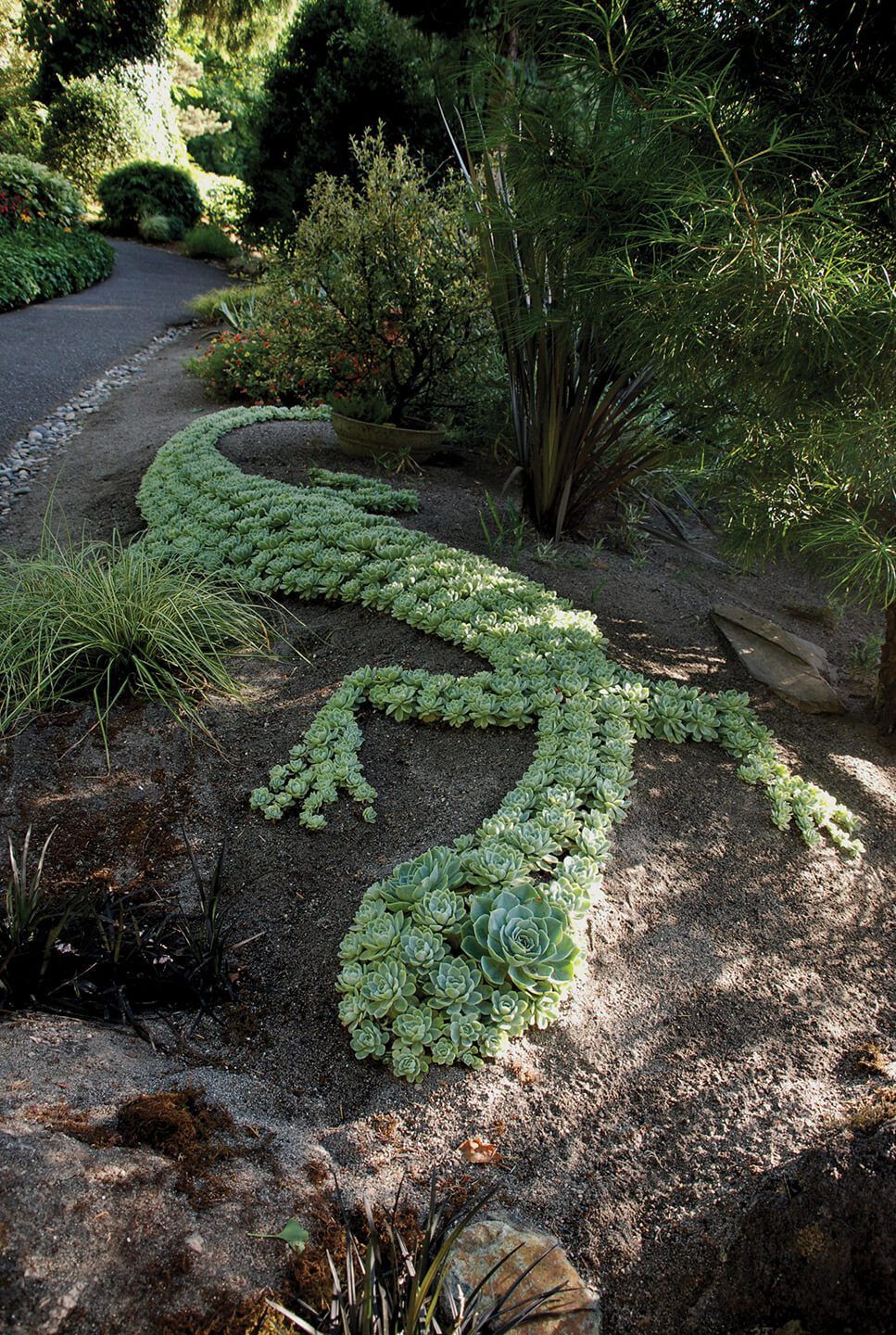 Garten Magazin Schön 57 Best Succulent Garden Ideas with Tutorials Pictures