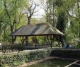 Garten Pavilion Schön Botanical Garden Rombergpark – Dortmund – tourist