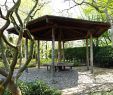 Garten Pavilion Schön Japanese Garden – Bonn – tourist attractions Tropter
