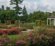Garten Pavillons Schön Allentown Rose Gardens 2020 All You Need to Know before