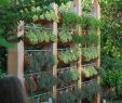 Garten Pflege Schön Schauen Sie Wie Viele Pflanzen In Sen Vertikalen Garten