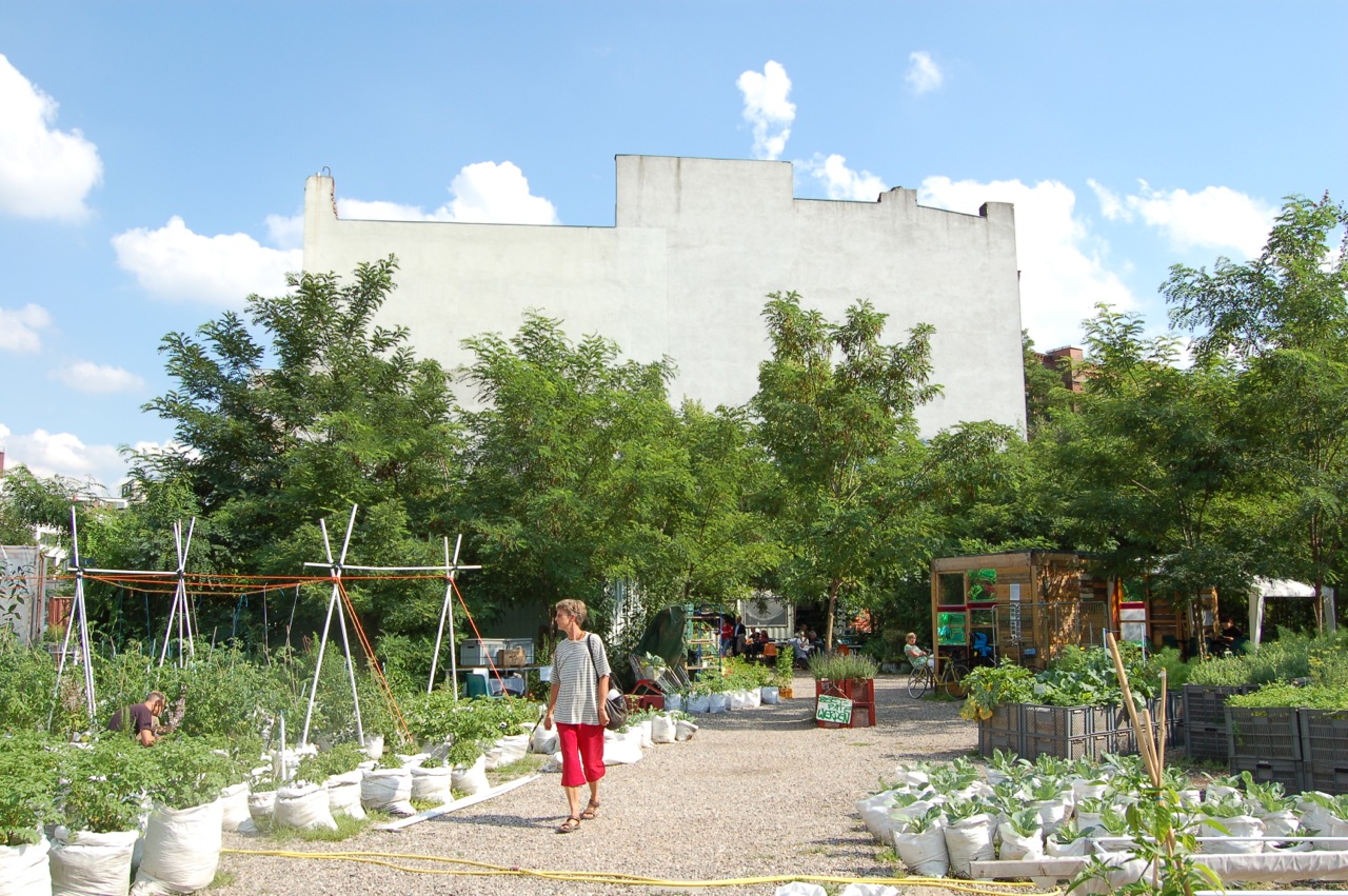 Urban Gardening Prinzessinnengarten