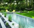 Garten Pool Ideen Best Of Moderne Gartengestaltung Teich Gartenpflanzen ähnliche tolle