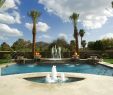 Garten Pool Ideen Elegant Allstatepools Luxury Pool Builder Pool Designs Summit Nj In