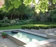 Garten Pool Ideen Luxus Landscaping Around Pool — Procura Home Blog