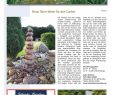 Garten Und Landschaftspflege Genial Bad Rothenfelde Aktuell 03 2019 Simplebooklet