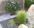 Garten Und Landschaftspflege Inspirierend 26 Neu Bewässerungssystem Garten Selber Bauen Elegant
