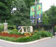 Garten Versailles Luxus Zoo Pakan Hidup Khusus Burayak