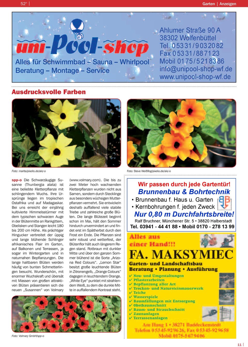 Garten Whirlpool Neu Stadtmagazin Salzgitter Pdf Kostenfreier Download
