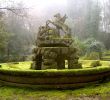 Garten Zeichnung Inspirierend Bomarzo Garden A Moss Covered Fountain with Pegasus