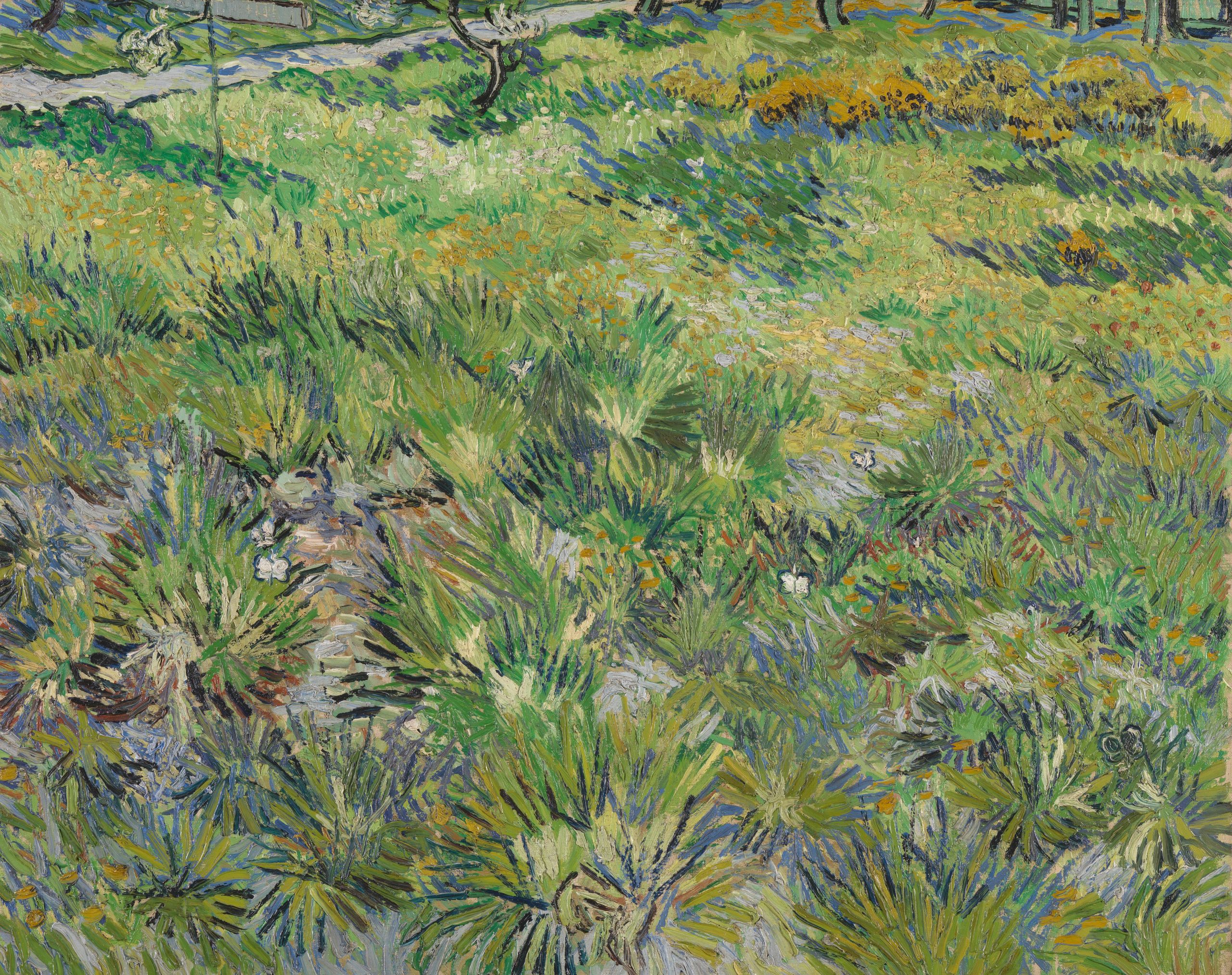 Van Gogh Wiese im Garten des Hospitals Saint Paul