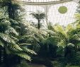 Garten Zelt Inspirierend 288 Best Swoon Images In 2020