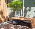 Gartenbank Beton Holz Einzigartig Baumbank Im Kleinformat Bauen Mit Schattenspender